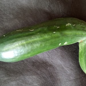 Oddity - 2nd Tony Walder