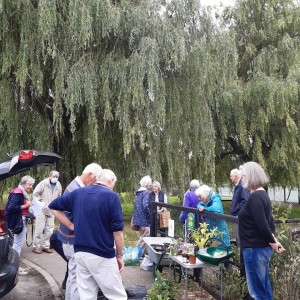 Potatoes - Watching the proceedings